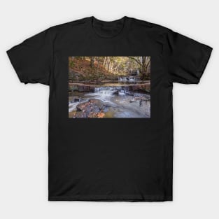 Summerhill Force T-Shirt